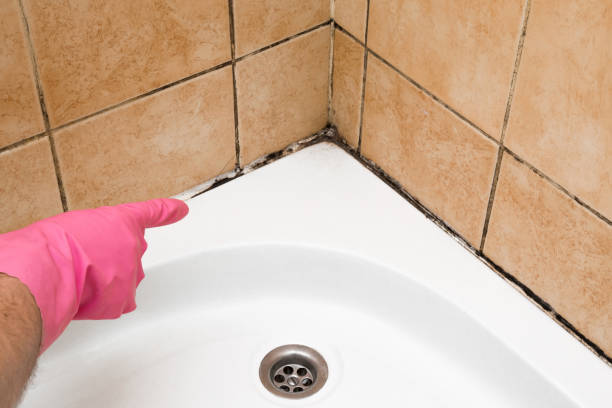 Best Industrial Mold Remediation in Mulino, OR